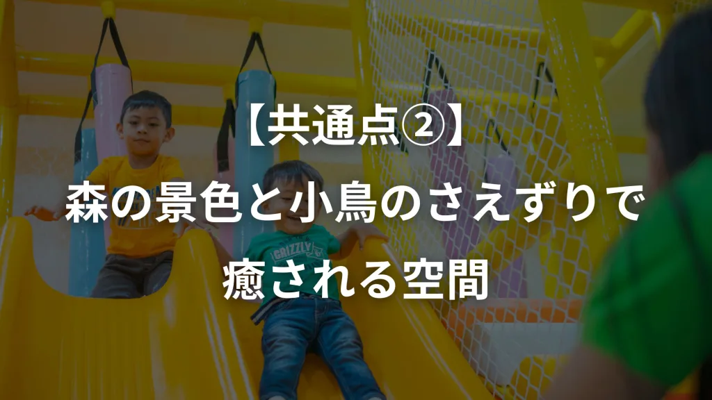 【共通点②】森の景色と小鳥のさえずりで癒される空間